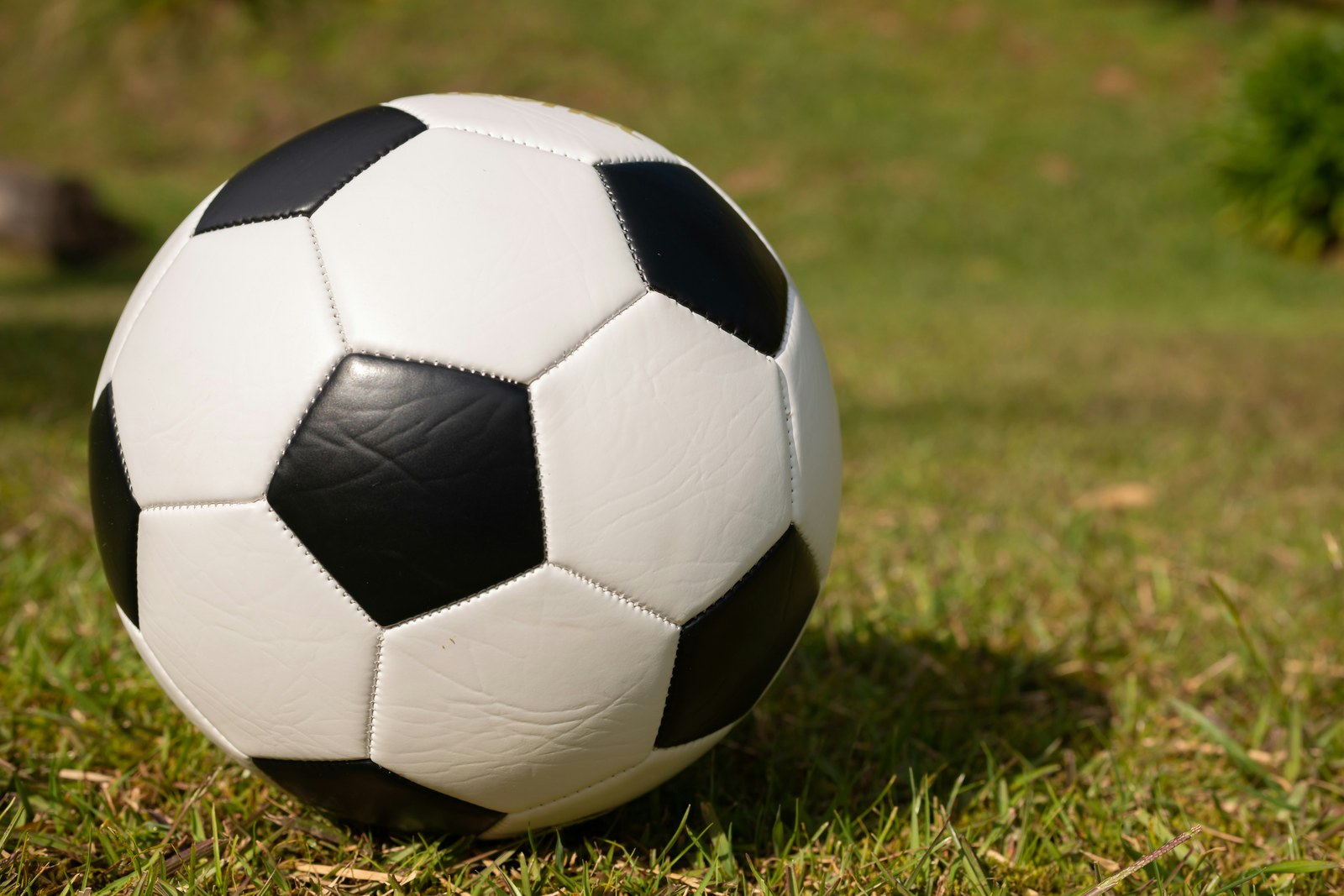 星空体育 · 足球